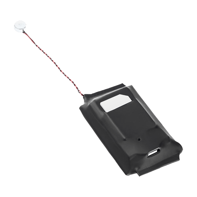 Micrófono GSM LIFE10+-02